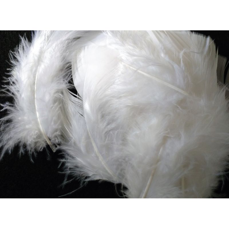 250 Plumes Blanches Naturelles D'oie - Lot Avec 3 Tailles (8-18 Cm) - Pour Déco, Mariage, Bijoux, Activités Créatives