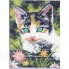 Kit Canevas Chaton Gris et Blanc 15 x 20 cm