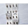 16 Boutons Pingouin Manchot 16 mm 8 argentés et 8 dorés Métal