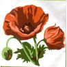 Kit Canevas Coquelicot 14 x 14 cm Petits trous