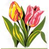 Kit Canevas Les Tulipes 14 x 14 cm Petits trous