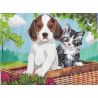 Kit Canevas Chiot et Chaton 15 x 20 cm