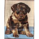 Kit Canevas Chiot Beauceron 14 x 18 cm Pénélope Blanc Petits Trous