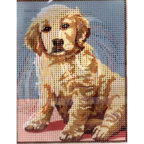 Kit Canevas Chiot Golden Retriever 14 x 18 cm Pénélope Blanc Petits Trous