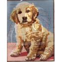 Kit Canevas Chiot Golden Retriever 14 x 18 cm Pénélope Blanc Petits Trous