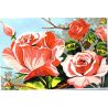 Kit Canevas Roses de Mai 22 x 33 cm 