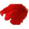 Environ 25 PLUMES Coloris ROUGE deco fête mariage