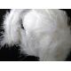 Environ 25 Plumes Coloris Blanc Deco fête Mariage Costume déguisement