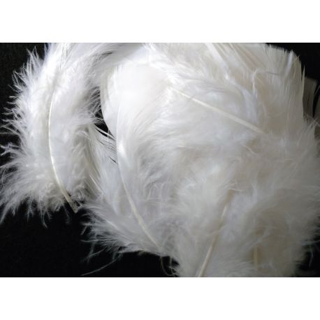 Environ 25 Plumes Coloris Blanc Deco fête Mariage Costume déguisement