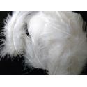 Environ 25 Plumes Coloris Blanc Deco fête Mariage Costume déguisement