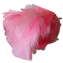 Environ 25 Plumes Coloris Rose Clair Deco fête Mariage Costume déguisement