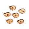 6 x Bouton renard en bois 2 trous 1,50 x 2 cm