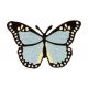 Patch Ecusson Thermocollant Papillon bleu clair 6 x 8,50 cm