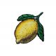 Patch Ecusson Thermocollant Le Citron parfait 3 x 4 cm