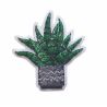 Patch Ecusson Thermocollant Aloe véra 4 x 4 cm