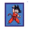 Patch Ecusson Thermocollant Dragon Ball San Goten 5,50 x 7 cm