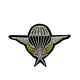 Ecusson Thermocollant Air Force Para