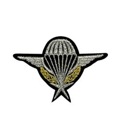 Ecusson Thermocollant Air Force Para