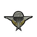 Ecusson Thermocollant Air Force Para