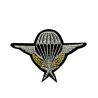 Ecusson Thermocollant Air Force Para