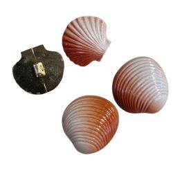 Lot 4 boutons Coquillage 30 mm