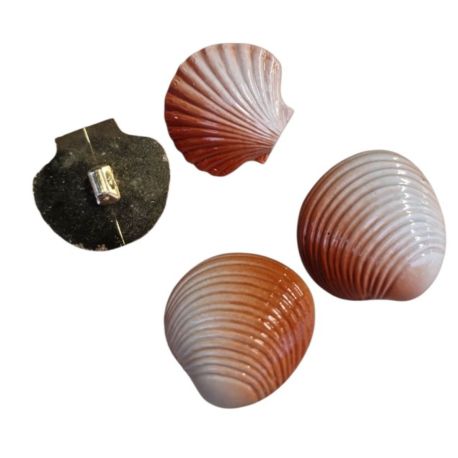 Lot 4 boutons Coquillage 30 mm
