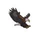 Patch Ecusson Thermocollant Aigle majestueux 7 x 7 cm