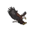 Patch Ecusson Thermocollant Aigle majestueux 7 x 7 cm
