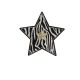 Patch Ecusson Thermocollant Etoile Léopard 5 x 5 cm