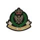 Patch Ecusson Thermocollant Blason Vert Royal Air Force 5 x 5,50 cm