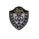 Patch Ecusson Thermocollant Blason Vert Royal Air Force 5 x 5,50 cm