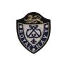Patch Ecusson Thermocollant Blason Vert Royal Air Force 5 x 5,50 cm