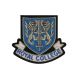 Patch Ecusson Thermocollant Blason Bleu Royal College 5 x 5,50 cm