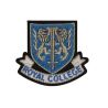 Patch Ecusson Thermocollant Blason Vert Royal Air Force 5 x 5,50 cm