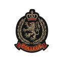 Patch Ecusson Thermocollant Blason Vert Royal Air Force 5 x 5,50 cm