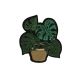 Patch Ecusson Thermocollant Cactus Fleur 4 x 4,50 cm