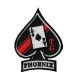 Patch Ecusson Thermocollant Top Gun Phoenix 6 x 7,50 cm