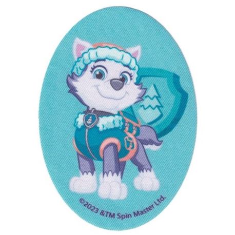 Patch Ecusson Thermocollant Pat Patrouille Everest 8 x 11 cm