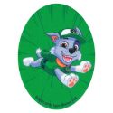 Patch Ecusson Thermocollant Pat Patrouille Rocky 8 x 11 cm