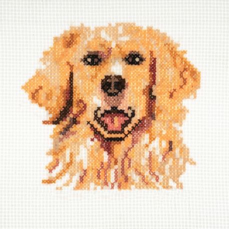 Mini Kit à broder au point de croix compté Golden Retriever 13 x 13 cm