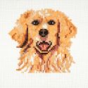 Mini Kit à broder au point de croix compté Golden Retriever 13 x 13 cm