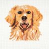 Mini Kit à broder au point de croix compté Golden Retriever 13 x 13 cm