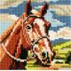 Kit à broder au point de croix compté Cheval 15 x 15 cm