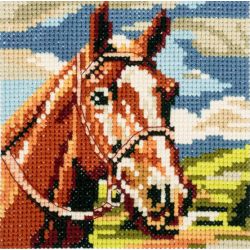 Kit à broder au point de croix compté Cheval 15 x 15 cm